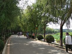 -丁香湖公园