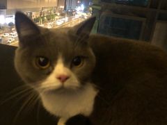 -悠米私人影院(街道口店)