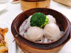 -老洋坊饭店(厚街东宝路店)