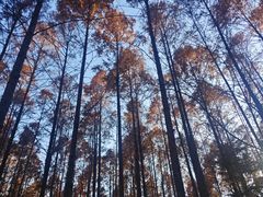 -河南省黄河迎宾馆