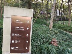 -九曜山