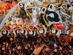 -西霞口神雕山野生动物世界