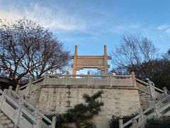 -紫金山山顶公园