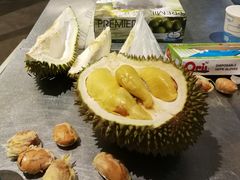 -都念榴莲·城市榴莲