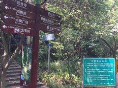 -东莞市大岭山森林公园