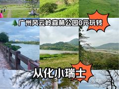 -风云岭森林公园