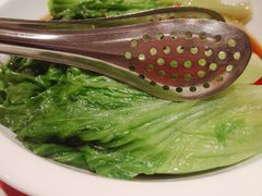 葱油罗马生菜-西贝(上海中心店)