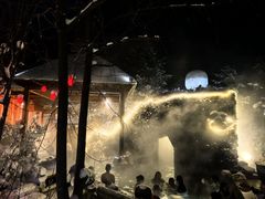 -汉拿山温泉度假酒店