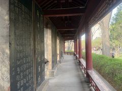 -碑林公园