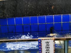 -轩记海鲜餐厅·四十五年老字号·经典粤菜(西区彩虹店)
