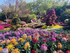 -杭州植物园