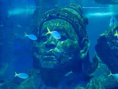 -暹罗海洋世界