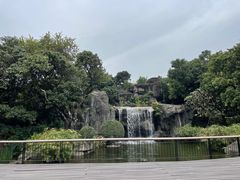 -荔枝公园(福田区)