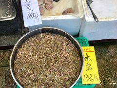 新鲜活禾虫-新享乐海鲜(翠华路店)