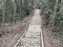 -上海佘山国家森林公园天马山园