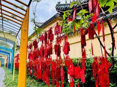 -无锡梅园公园
