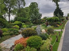 -东莞植物园