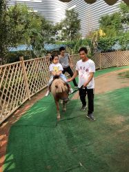 -萌宠亲子动物乐园(槐房万达店)