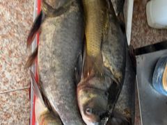 -华龙特色大骨鸡农家菜馆