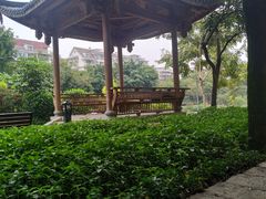 -光明港公园
