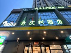 -青皮树酒店(合肥瑶海区新安江路龙岗地铁站店)