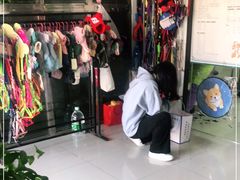 -顺强宠物诊所·狂犬免疫·夜诊·骨科(嘉定店)