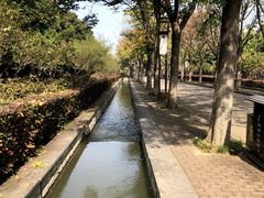 -洛阳市隋唐城遗址植物园
