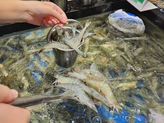 -亚马逊海鲜自助(梅溪湖步步高店)