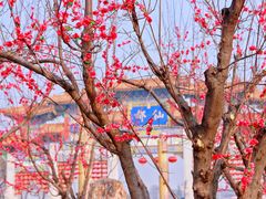 -终南山古楼观历史文化景区