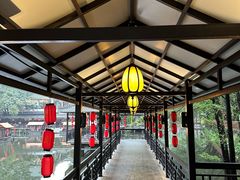 -侨美·唐荔园·40年地道粤菜