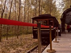 -合肥滨湖国家森林公园