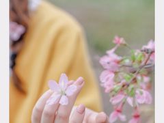 -天适樱花悠乐园