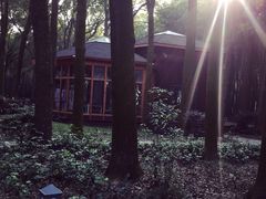 -同里国家湿地公园