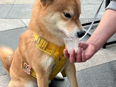 -星巴克(上海长宁来福士1F店)
