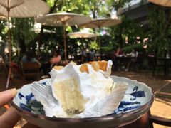 -Fern Forest Cafe