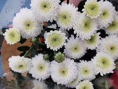 -愿者上钩(布吉老街店)