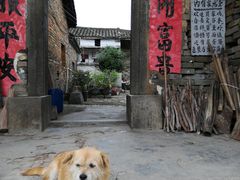 -苏家围·东江画廊旅游景区