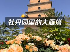 -大慈恩寺(大雁塔)
