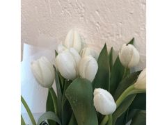 -循礼门鲜花花市(武汉循礼门店)