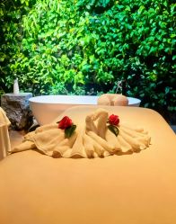 -VELEE·SPA高定疗愈会所