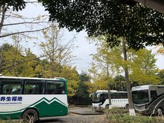 -大余丫山旅游度假区