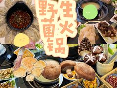 -野菌皇海景野生菌火锅(滨海大道店)