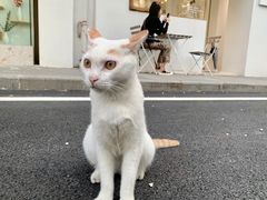 -追光 Dream Bakery(汉街店)