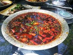 -青城甲(青城山店)