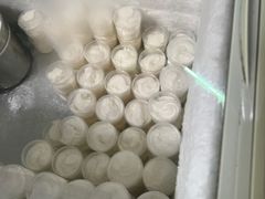 -洪馨椰子