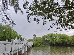 -长兴太湖图影湿地文化园