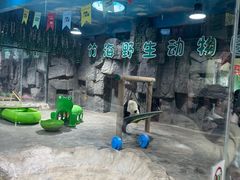 -栾川竹海野生动物园