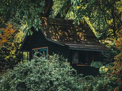 -缙云山景区