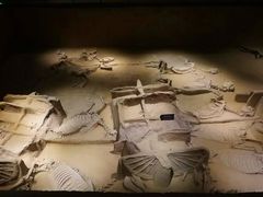 -洛阳周王城天子驾六博物馆