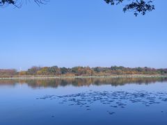 -东湖落雁景区